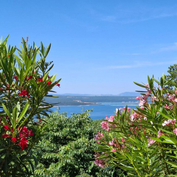 Villa Belvedere, Villa Belvedere - Holiday home with sea view in Croatia - Crikvenica Crikvenica